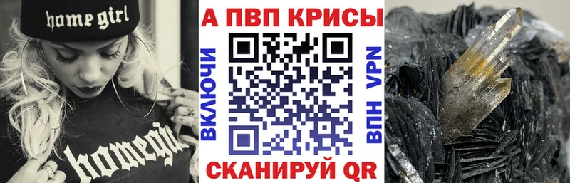 Альфа ПВП СК КРИС  Саранск 