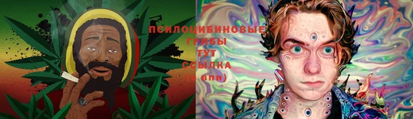 крисы Абинск