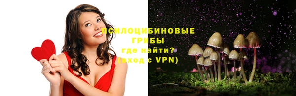 дурь Алексин